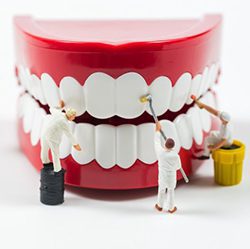 Eurodent dentalhealingprocess